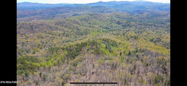 111AC Edwards Rd, Tellico Plains, TN 37385