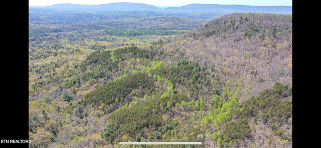 111AC Edwards Rd, Tellico Plains, TN 37385