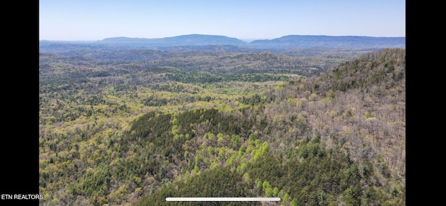 111AC Edwards Rd, Tellico Plains, TN 37385
