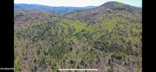 111AC Edwards Rd, Tellico Plains, TN 37385