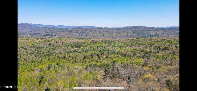 111AC Edwards Rd, Tellico Plains, TN 37385