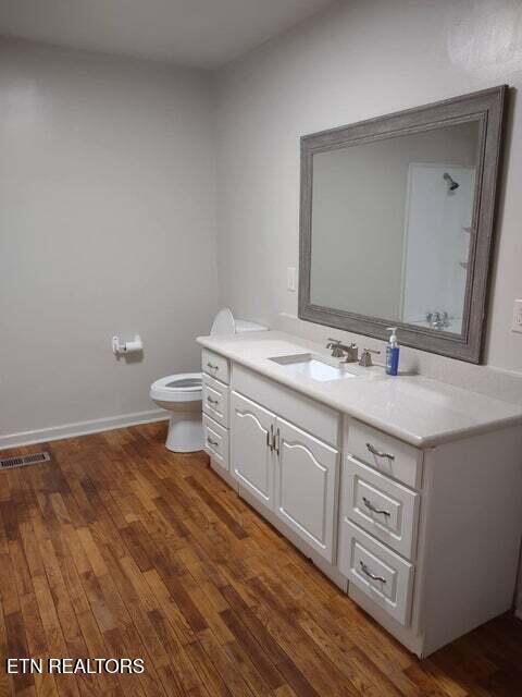 bathroom featuring vanity, toilet, and wood-type flooring