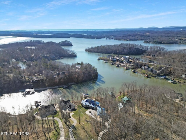 aerial view with a water view