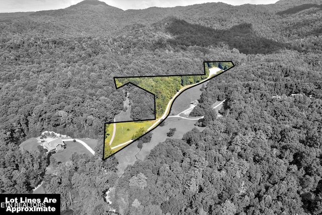 1534 Cove Ln, Oliver Springs TN, 37840 land for sale