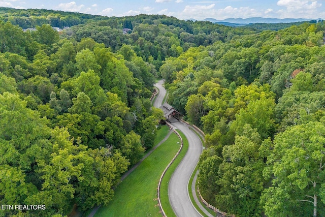 bird's eye view featuring a view of trees and a mountain view