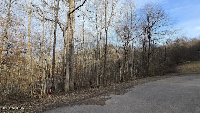 Lick Skillet Rd, Maynardville TN, 37807 land for sale