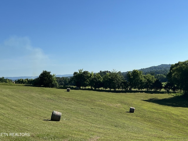 view of property's community featuring a rural view and a lawn