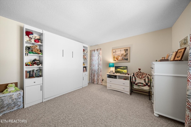 interior space with light carpet and a textured ceiling