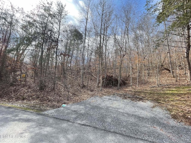 Listing photo 2 for Mountain Shores Rd, New Tazewell TN 37825