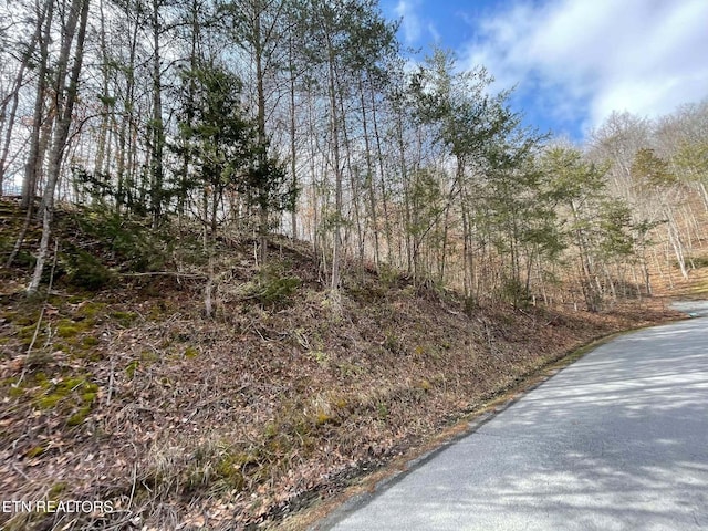 Listing photo 3 for Mountain Shores Rd, New Tazewell TN 37825