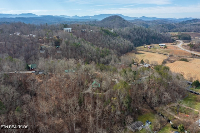 drone / aerial view featuring a mountain view