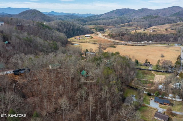 drone / aerial view featuring a mountain view