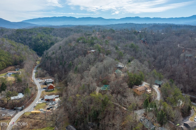 aerial view with a mountain view