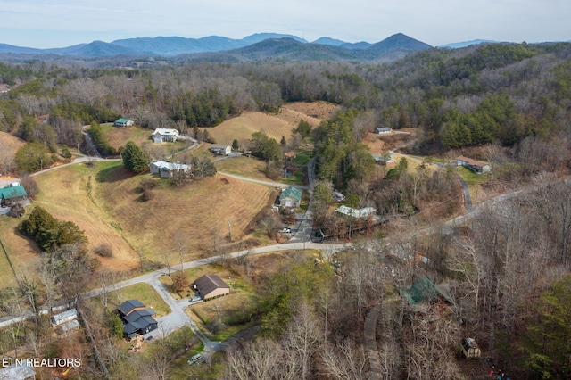 drone / aerial view with a mountain view