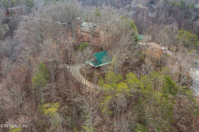 aerial view