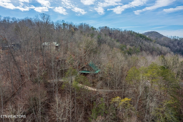 aerial view