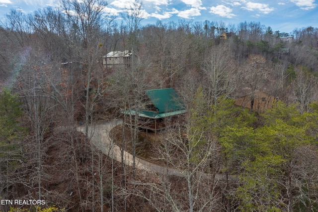 drone / aerial view