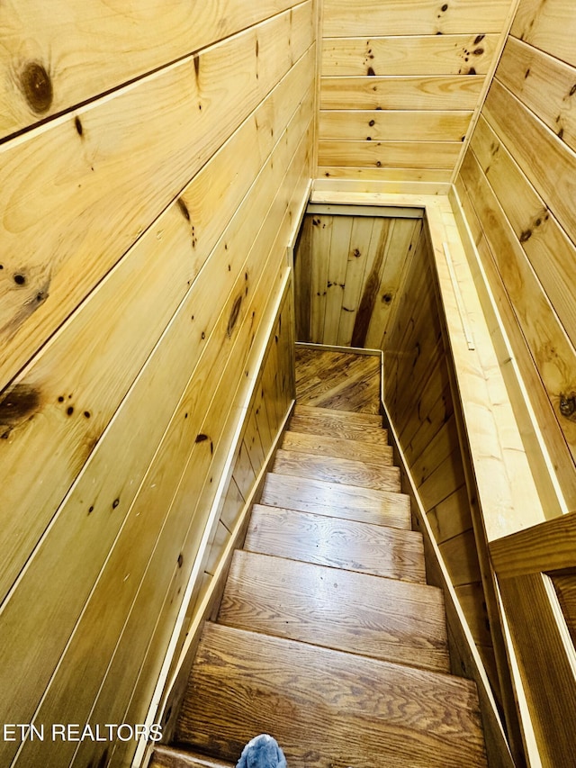 617 Cheyenne Dr, Jamestown, TN 38556 - stairs featuring wooden walls and a sauna