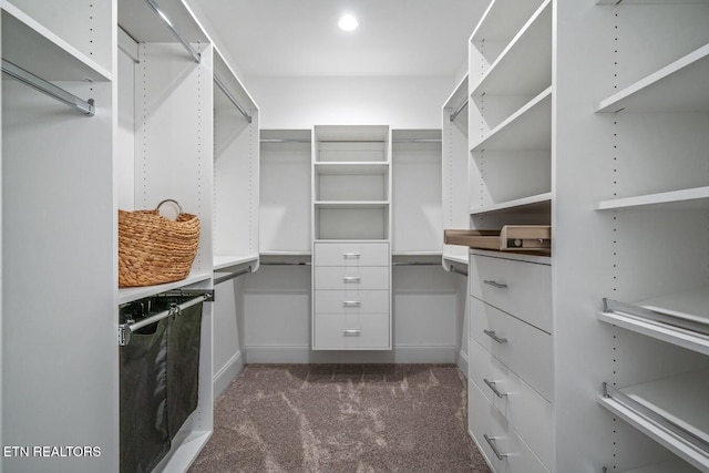 spacious closet with dark colored carpet