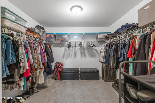 spacious closet featuring carpet flooring