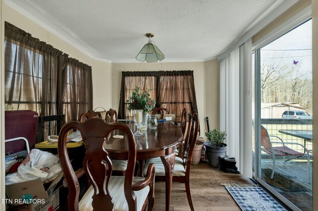 dining space with hardwood / wood-style floors, crown molding, and a textured ceiling