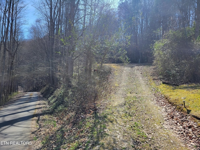 4300 Shults Rd, Cosby TN, 37722 land for sale