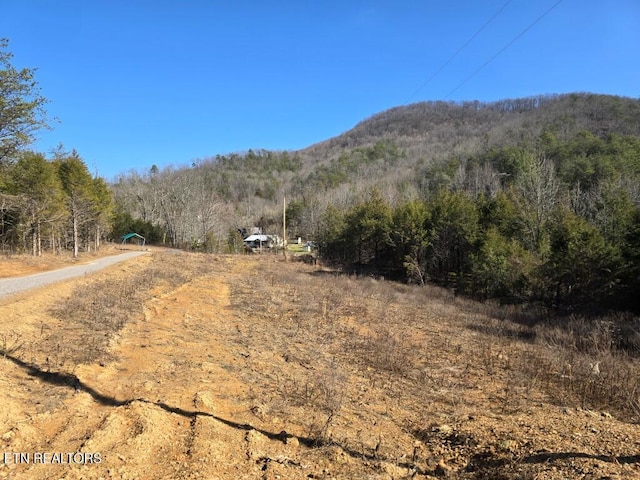 4123 Panther Creek Rd, Sneedville TN, 37869 land for sale