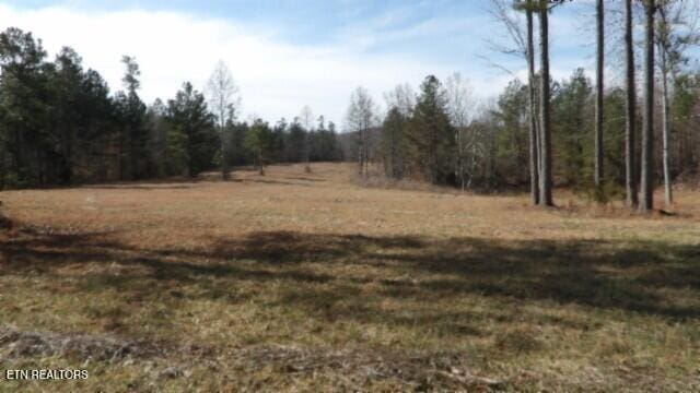 30AC Whitson Hollow Rd, Red Boiling Springs TN, 37150 land for sale