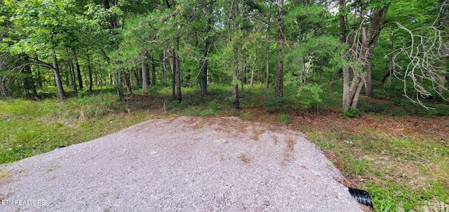 Listing photo 2 for Divide Trl, Monterey TN 38574