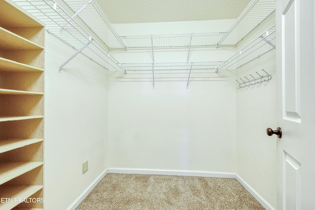 spacious closet with carpet