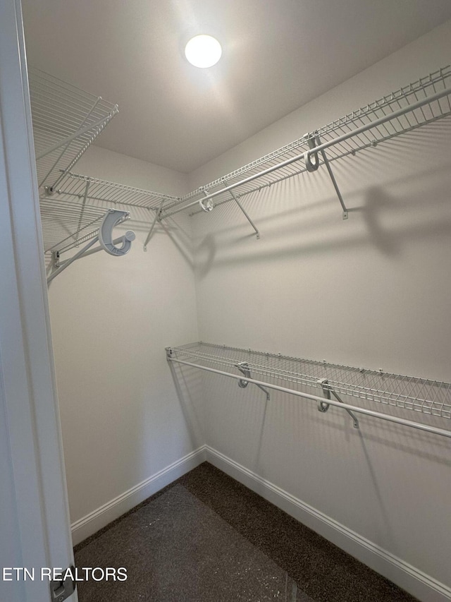 view of walk in closet