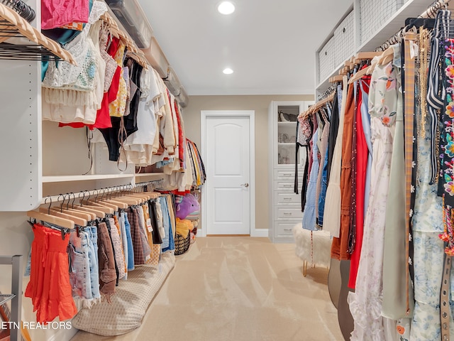 spacious closet with carpet floors