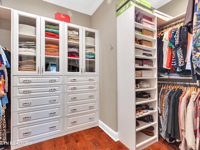 spacious closet with dark wood finished floors