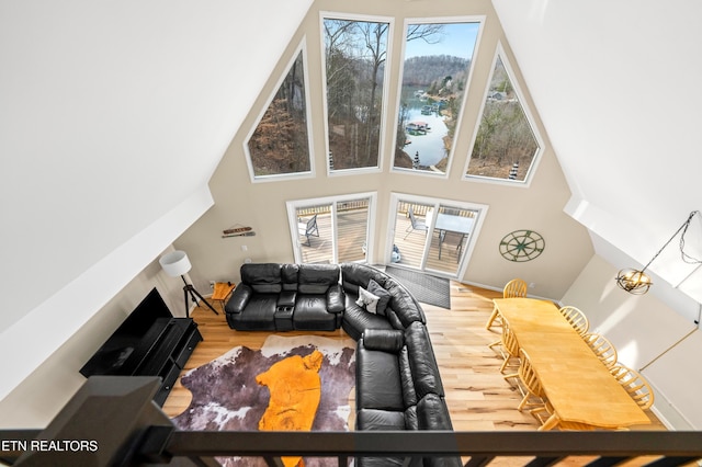 living room with hardwood / wood-style flooring and a towering ceiling