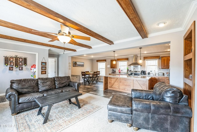 living room featuring a textured ceiling, dark wood-style flooring, a ceiling fan, ornamental molding, and beam ceiling