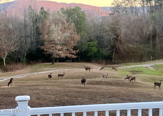 yard at dusk featuring a rural view and a mountain view