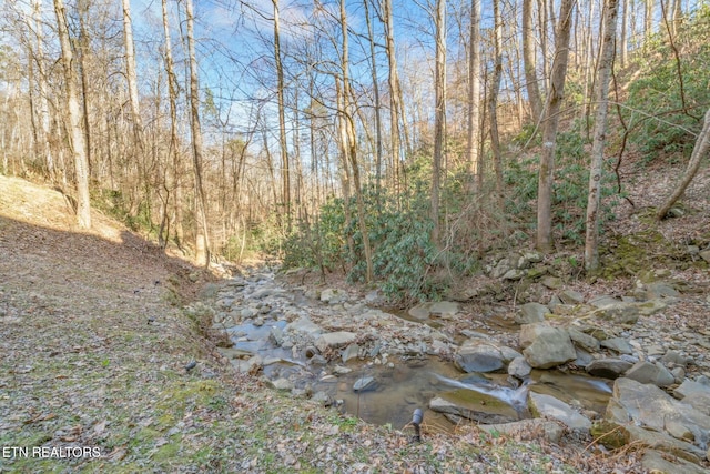 1435 Wiley Oakley Dr Unit 176, Gatlinburg, TN 37738 - view of nature with a view of trees