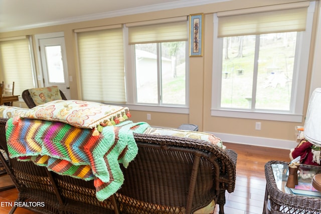 1017 Old Knoxville Hwy, Sevierville, TN 37862 - bedroom featuring multiple windows, ornamental molding, and wood-type flooring