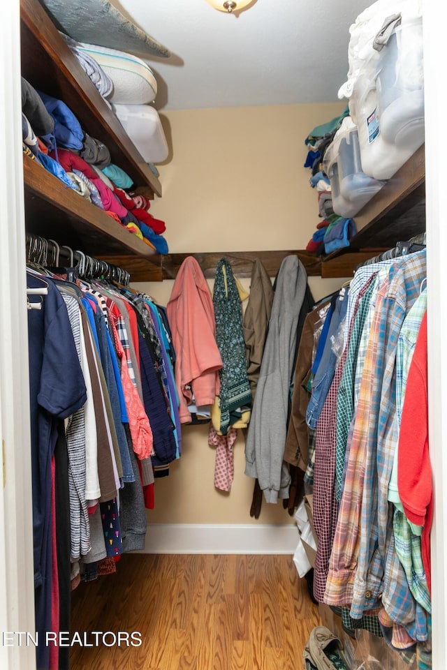 1017 Old Knoxville Hwy, Sevierville, TN 37862 - spacious closet with hardwood / wood-style floors