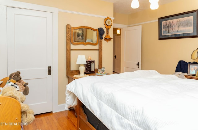 1017 Old Knoxville Hwy, Sevierville, TN 37862 - bedroom with light hardwood / wood-style floors