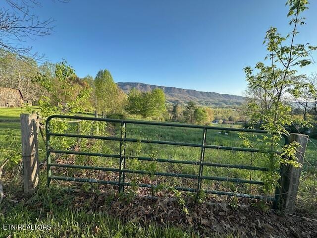 view of gate featuring a mountain view