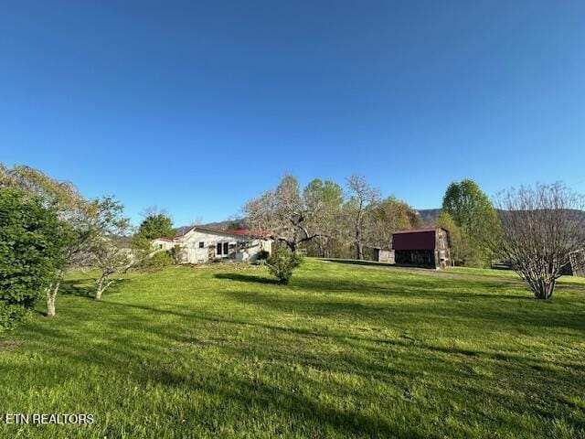 view of yard featuring an outbuilding
