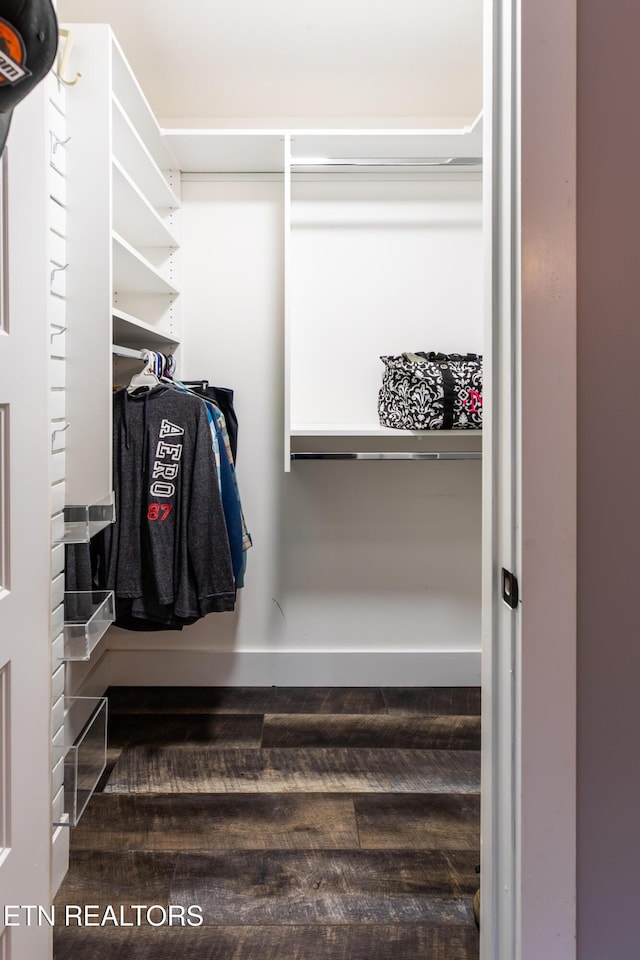 spacious closet featuring wood finished floors