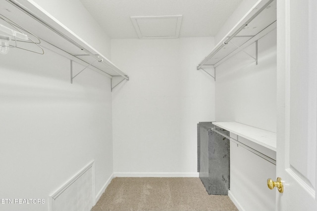 spacious closet featuring attic access and light colored carpet