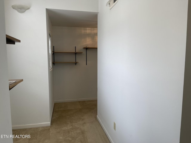 walk in closet with carpet floors