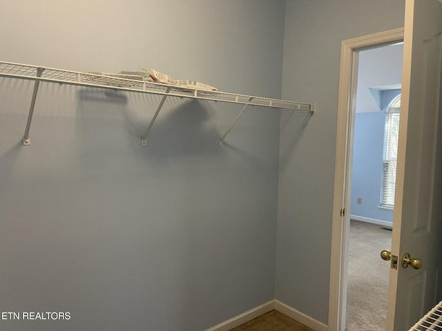 walk in closet featuring carpet floors