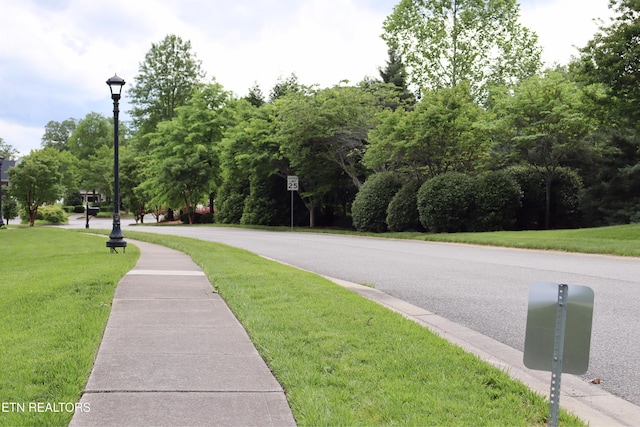 12309 Cotton Blossom Ln, Knoxville, TN 37934 - view of asphalt road with street lights and sidewalks