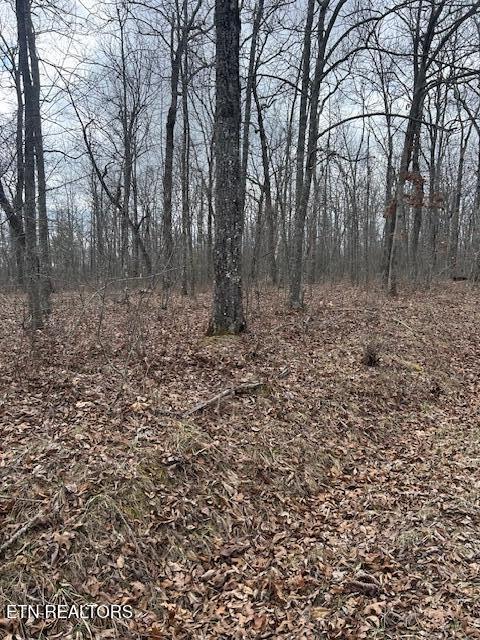 8949 Pima Dr, Crossville, TN 38572 - photo 5