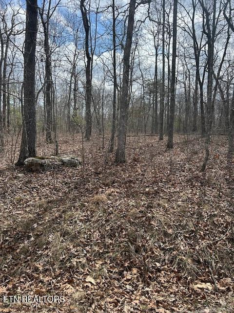 8949 Pima Dr, Crossville, TN 38572 - photo 6