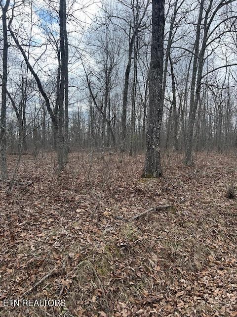 8949 Pima Dr, Crossville, TN 38572 - photo 1